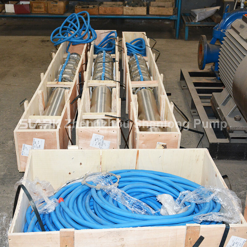 Bomba Submersível para Poço Profundo de Alto Fluxo de 300 m³/h e 100 m de Coluna de Água com Motor de 140 kW para Aplicações em Água Salgada